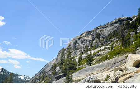 Yosemite National Park 43010396