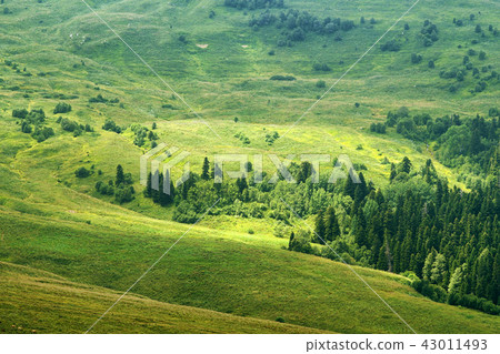 View on highland Lagonaki, Adygea, Russia View on highland Lagonaki, Adygea, Russia 43011493