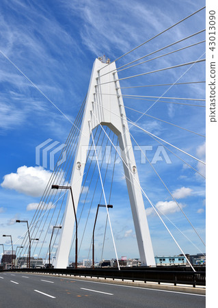 Daishi-bashi crossing Tama river 43013090