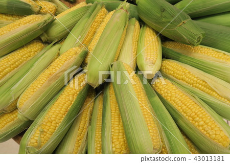 Corn Corn 43013181