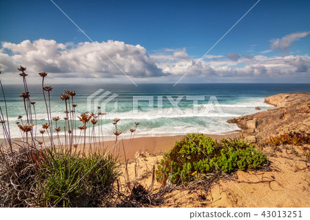 The tempting coast of Portugal Costa Vicentina, Sagres. The tempting coast of Portugal Costa Vicentina, Sagres. 43013251