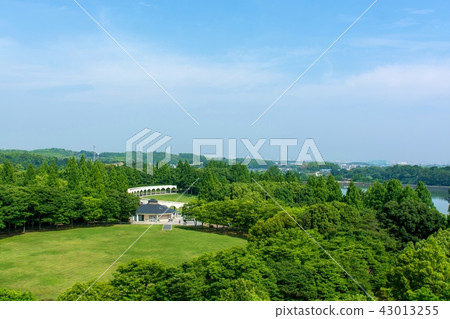 俯瞰充滿新鮮綠色的公園 43013255