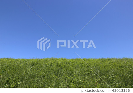 Blue sky and the earth Blue sky and the earth 43013336
