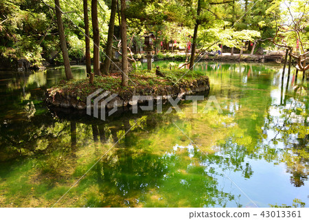 I went to the Atoihara Benten Pond # 37 I went to the Atoihara Benten Pond # 37 43013361