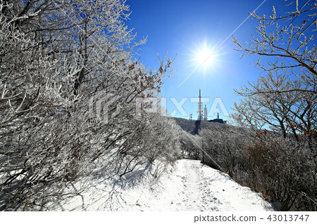 Jirisan Nogodan! 43013747