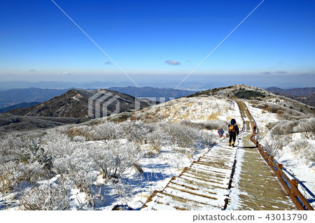 Jirisan Nogodan！ 43013790