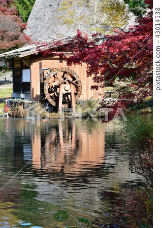 Higashiyama Botanical Garden in the fall 43014138
