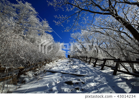 Winter mountain Nogodan! 43014234