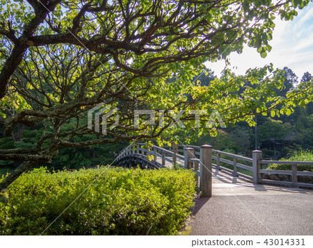 [伊豆]木橋，日式花園[修善寺彩虹村] 43014331