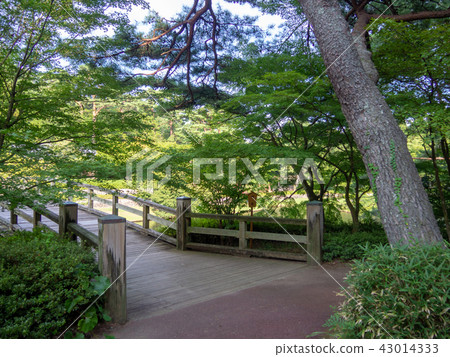 [伊豆]木橋，日式花園[修善寺彩虹村] 43014333