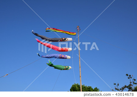    Carp streamer 43014678