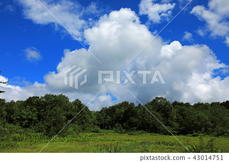夏天雲春Komagomezu Fukushima ken Minamiaizu cho 43014751