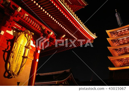 Takara-zen gate and five-storied pagoda light up Takara-zen gate and five-storied pagoda light up 43015067