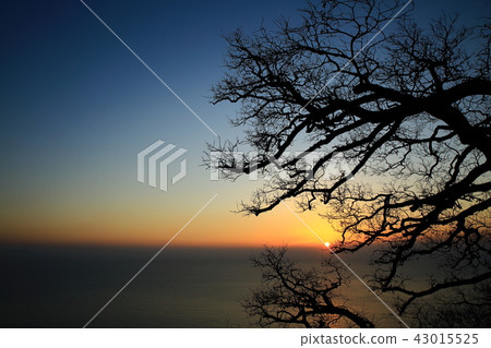Sunrise at Fenryama! Sunrise at Fenryama! 43015525
