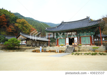 Gurye Chun-gusa! Gurye Chun-gusa! 43015537