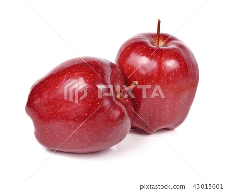 apple on white background apple on white background 43015601
