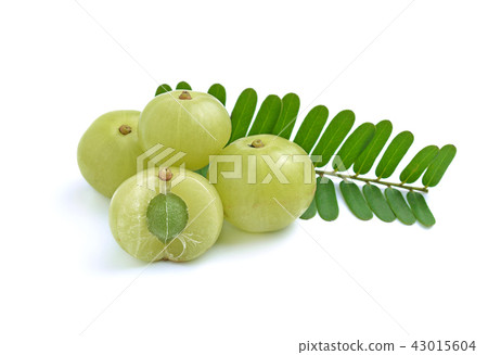 gooseberries on white background gooseberries on white background 43015604