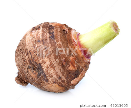 taro isolated on white background taro isolated on white background 43015605