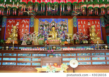 Guren Song Guren Song 43016016