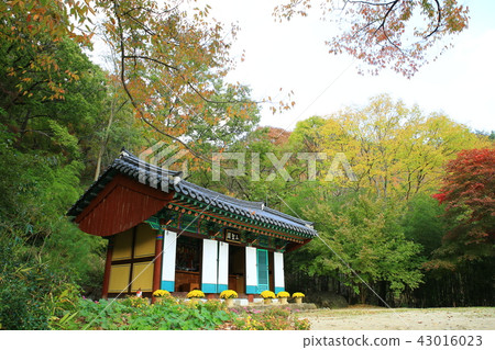 Guren Song Guren Song 43016023