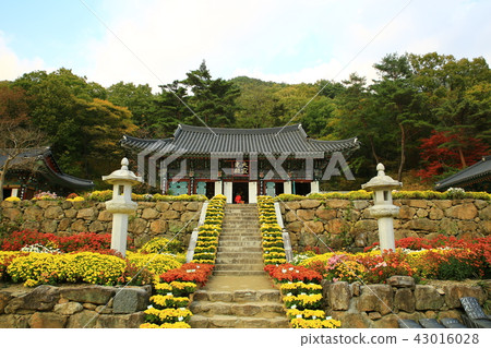 Guren Song Guren Song 43016028