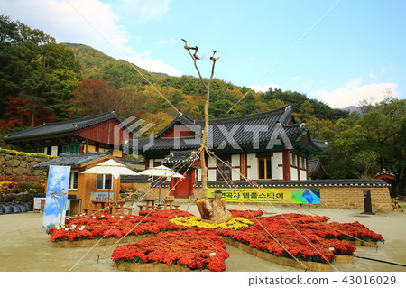 Guren Song Guren Song 43016029