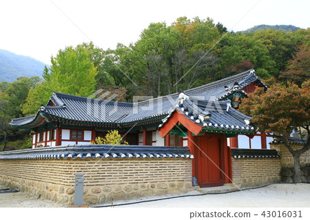 Guren Song Guren Song 43016031