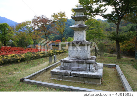 Guren Song Guren Song 43016032