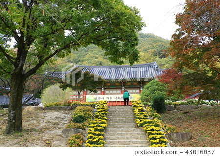 Guren Song Guren Song 43016037