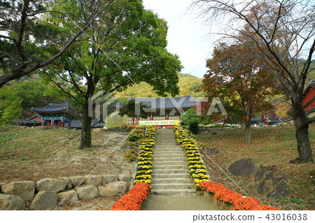 Guren Song Guren Song 43016038