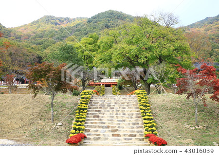 Guren Song Guren Song 43016039