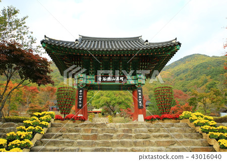 Guren Song Guren Song 43016040