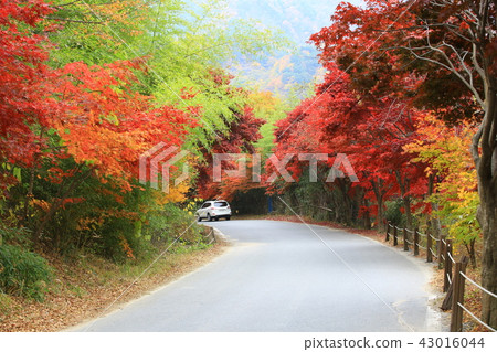 Guren Song Guren Song 43016044