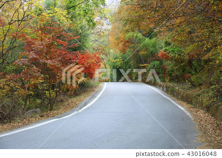 Guren Song Guren Song 43016048