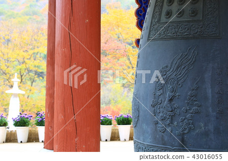 Guren Song Guren Song 43016055