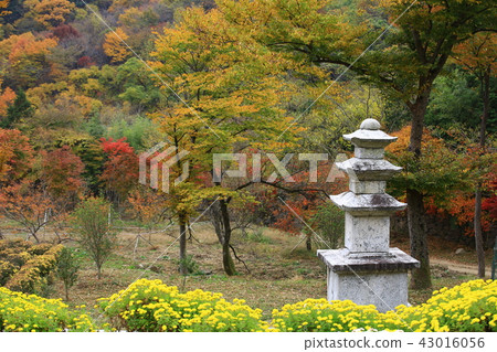 Guren Song Guren Song 43016056