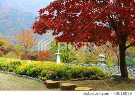 Guren Song Guren Song 43016059