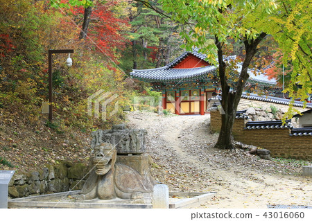 Guren Song Guren Song 43016060