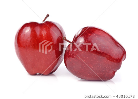 apple on white background apple on white background 43016178