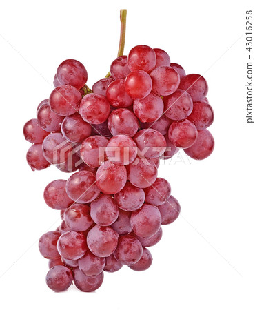 red grapes isolated on white background red grapes isolated on white background 43016258