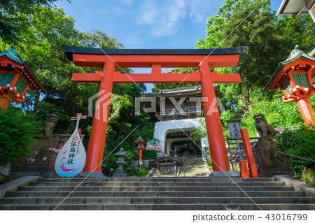 Torii of Enoshima Shrine and Rui Gate 43016799