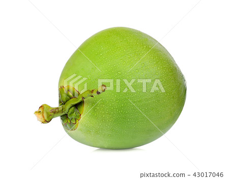 whole green coconut with drop water isolated  43017046