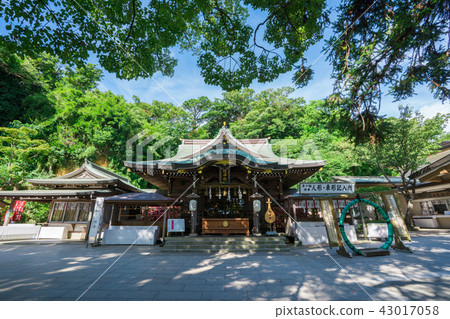Enoshima Shinto shrine Tsumugi Enoshima Shinto shrine Tsumugi 43017058