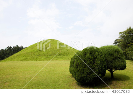 Gyeongju royal family royal tomb, Gyeongju city, Gyeongbuk 43017083