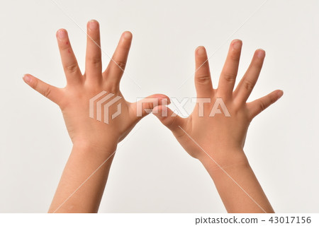 上面列出的雙手 43017156