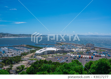 Enoshima's Yacht Harbor 43017277