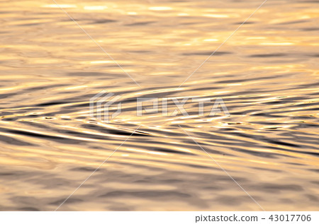 Morning water surface pattern 43017706
