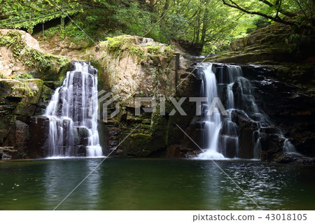 Red Eye Shimpaki Waterfall Falls Fall [Nabari City Mie] 43018105