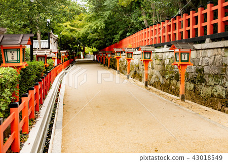 八坂神社 43018549
