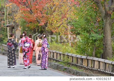 走在秋天祗園與和服 43019237